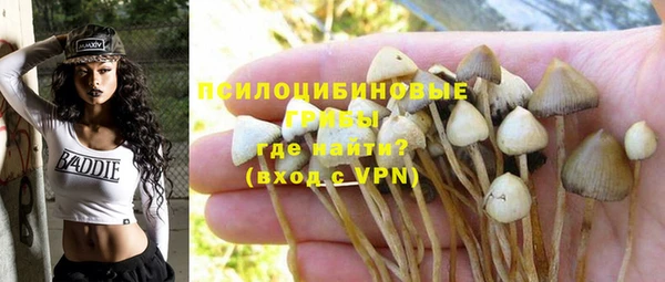 ПСИЛОЦИБИНОВЫЕ ГРИБЫ Новодвинск