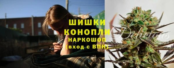 трава Аркадак