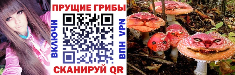 Псилоцибиновые грибы Psilocybe  Полевской 